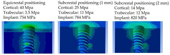https://cdn.ncbi.nlm.nih.gov/pmc/blobs/3441/10669349/7a6b4a94072f/biomedicines-11-03077-g009.jpg