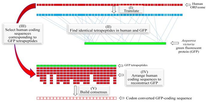 https://cdn.ncbi.nlm.nih.gov/pmc/blobs/3441/3705626/74a4182907e7/97320630009511F1.jpg