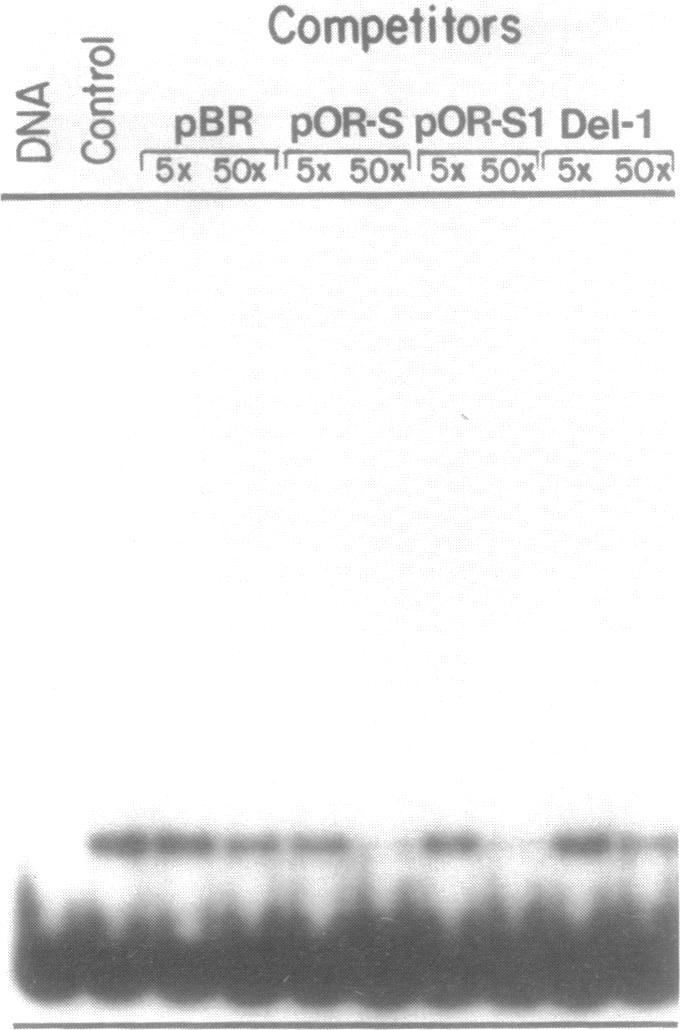 https://cdn.ncbi.nlm.nih.gov/pmc/blobs/3442/317654/6af00cc999e8/nar00124-0364-a.jpg