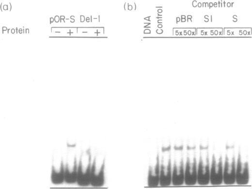 https://cdn.ncbi.nlm.nih.gov/pmc/blobs/3442/317654/85f482d649ef/nar00124-0368-a.jpg