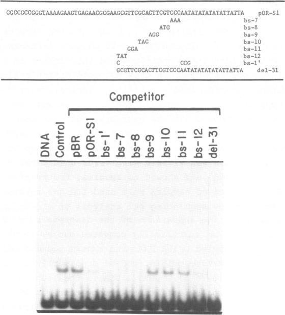 https://cdn.ncbi.nlm.nih.gov/pmc/blobs/3442/317654/fce653f5c382/nar00124-0371-a.jpg