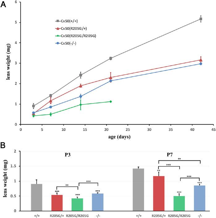 https://cdn.ncbi.nlm.nih.gov/pmc/blobs/3442/7401428/50d6491914b6/iovs-61-3-25-f002.jpg