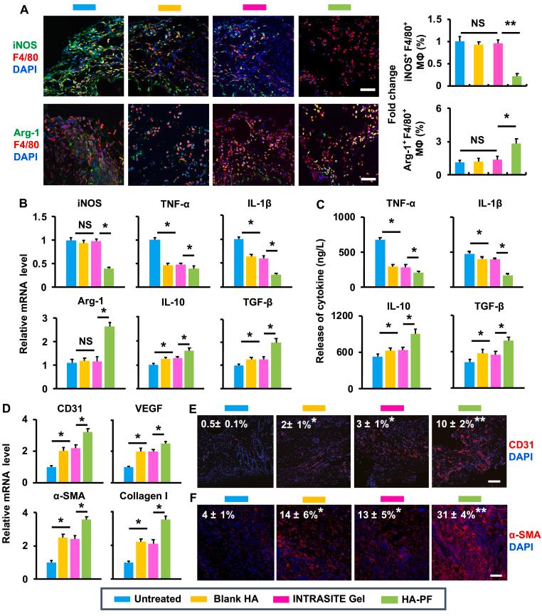 https://cdn.ncbi.nlm.nih.gov/pmc/blobs/3442/8488309/01cd24853501/gr4.jpg
