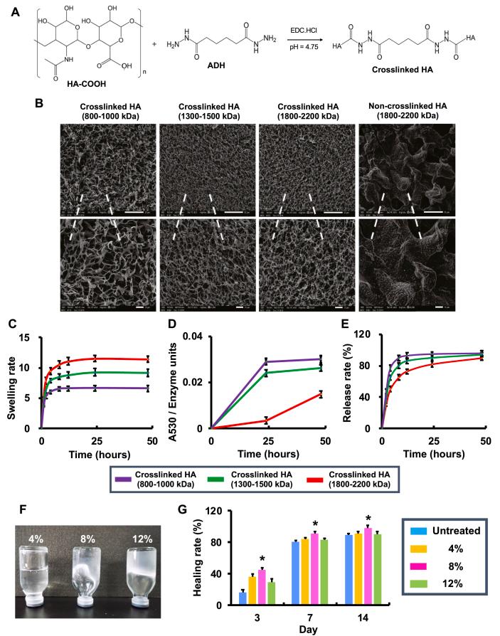 https://cdn.ncbi.nlm.nih.gov/pmc/blobs/3442/8488309/c1528ddb8ccb/gr2.jpg