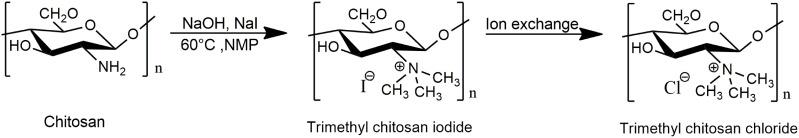 https://cdn.ncbi.nlm.nih.gov/pmc/blobs/3444/9465052/b3de08d1ab8c/IJN-17-3933-g0004.jpg