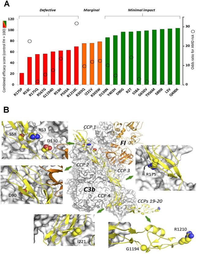 https://cdn.ncbi.nlm.nih.gov/pmc/blobs/3445/9716232/f92b5fd7e52f/iovs-63-12-30-f007.jpg