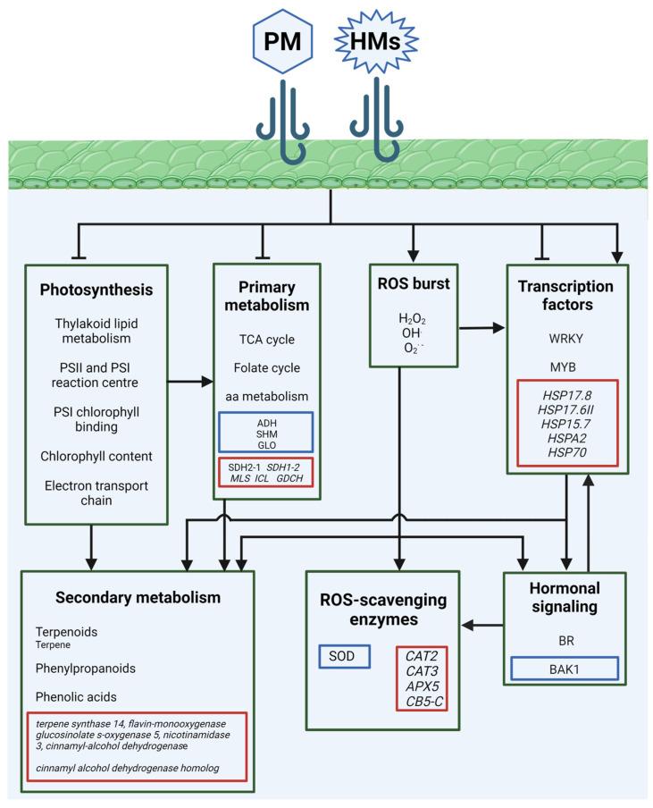 https://cdn.ncbi.nlm.nih.gov/pmc/blobs/3447/11313721/06f927869b0d/plants-13-02027-g004.jpg