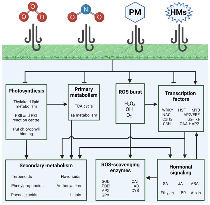 https://cdn.ncbi.nlm.nih.gov/pmc/blobs/3447/11313721/1b932baf7ccf/plants-13-02027-g005.jpg