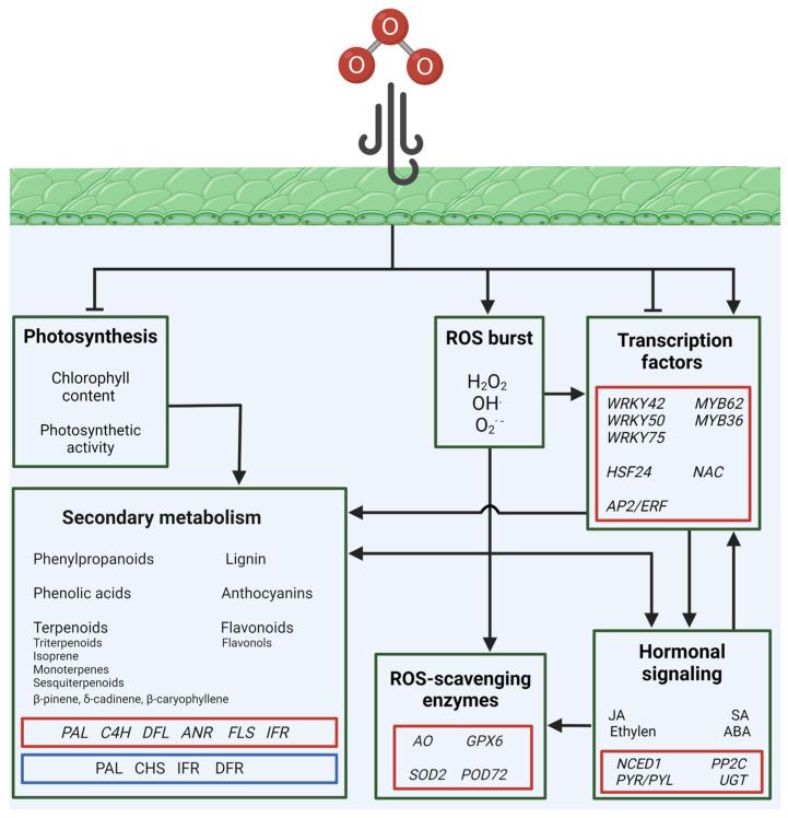 https://cdn.ncbi.nlm.nih.gov/pmc/blobs/3447/11313721/c7ca1edfcfe7/plants-13-02027-g002.jpg