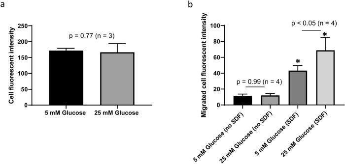 https://cdn.ncbi.nlm.nih.gov/pmc/blobs/3447/11861593/74e237570a61/41598_2025_91100_Fig3_HTML.jpg