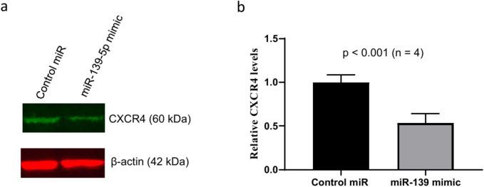 https://cdn.ncbi.nlm.nih.gov/pmc/blobs/3447/11861593/84783e4d36e6/41598_2025_91100_Fig4_HTML.jpg