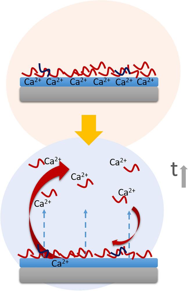 https://cdn.ncbi.nlm.nih.gov/pmc/blobs/3447/8437886/8a100ce452ae/775_2021_1886_Fig7_HTML.jpg