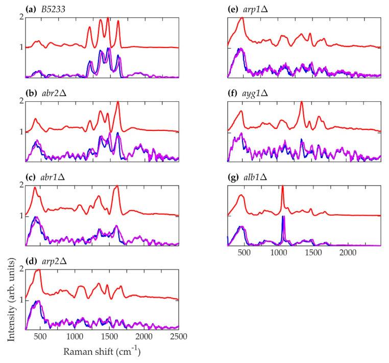 https://cdn.ncbi.nlm.nih.gov/pmc/blobs/3448/8540899/8545c90637f5/jof-07-00841-g005.jpg