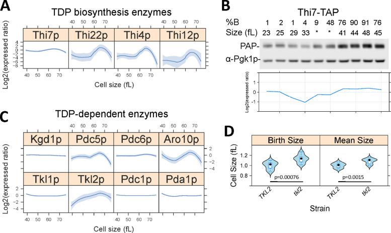 https://cdn.ncbi.nlm.nih.gov/pmc/blobs/3449/7346729/36f5986d338d/mbc-31-1069-g005.jpg