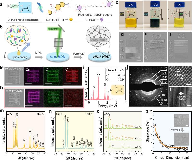 https://cdn.ncbi.nlm.nih.gov/pmc/blobs/344c/11511962/a02d99460eef/41467_2024_52929_Fig1_HTML.jpg