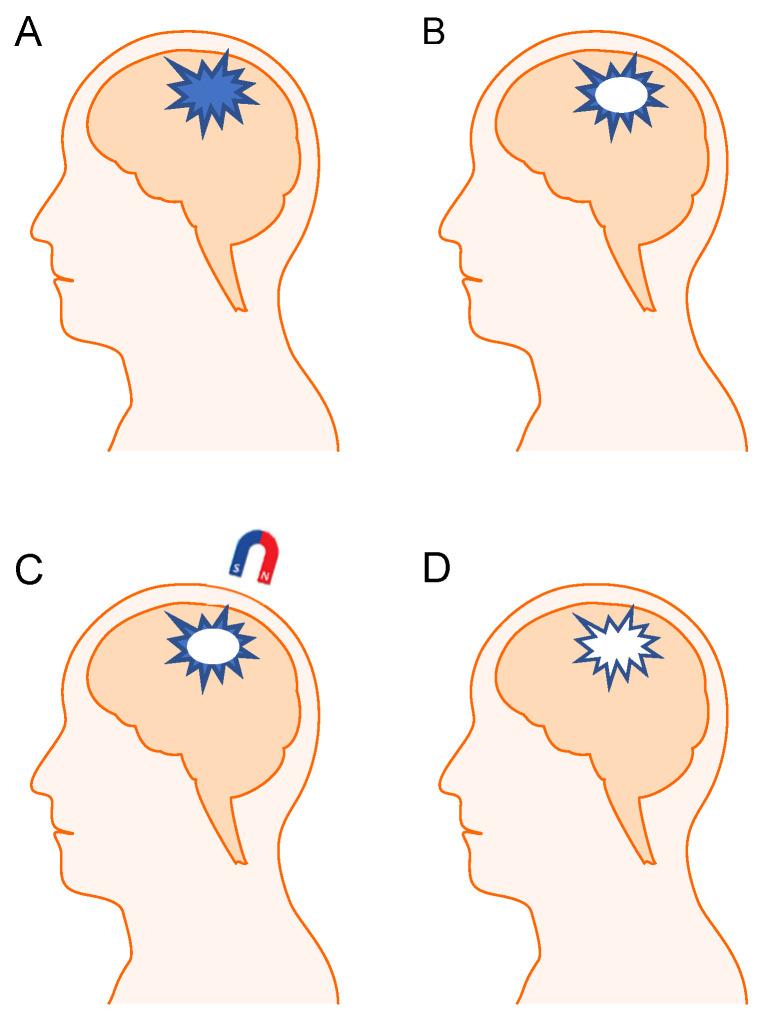 https://cdn.ncbi.nlm.nih.gov/pmc/blobs/344c/12030199/ecabba09fdc8/pharmaceutics-17-00499-g002.jpg