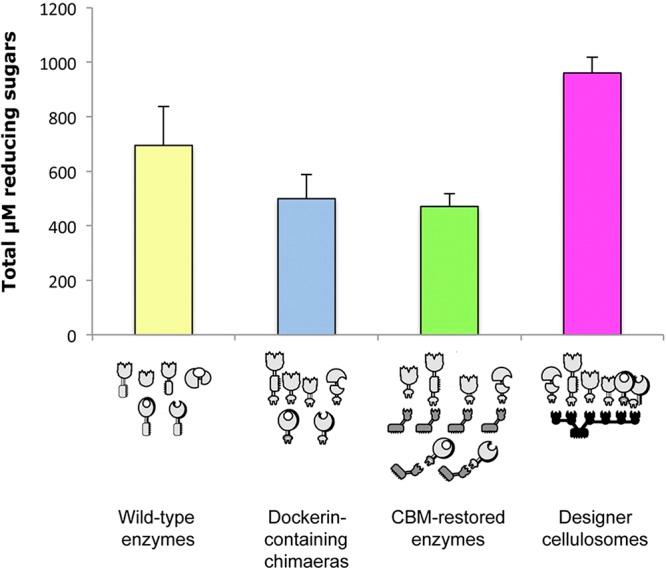 https://cdn.ncbi.nlm.nih.gov/pmc/blobs/344c/3520109/3e4fbeb57ca7/mbo0061213910003.jpg