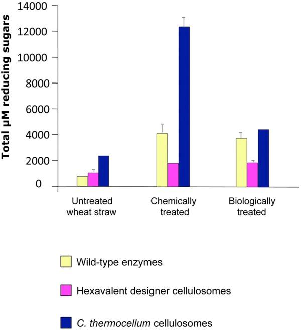 https://cdn.ncbi.nlm.nih.gov/pmc/blobs/344c/3520109/914e5e245442/mbo0061213910005.jpg