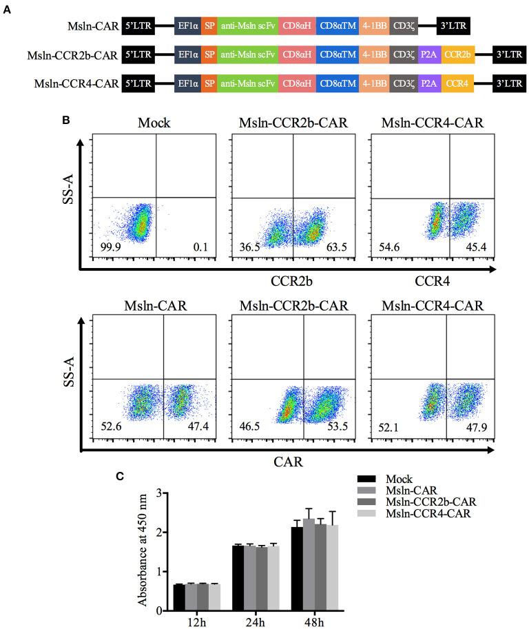 https://cdn.ncbi.nlm.nih.gov/pmc/blobs/344c/7992009/41de45a62c12/fimmu-12-628906-g0001.jpg