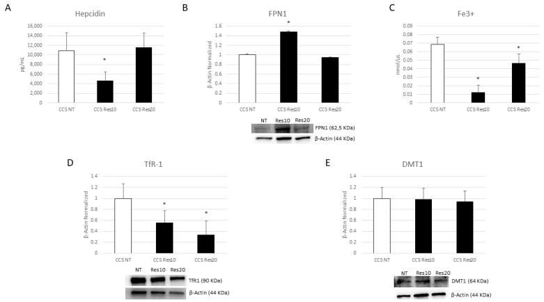 https://cdn.ncbi.nlm.nih.gov/pmc/blobs/344e/10886672/08d94f02131d/cancers-16-00714-g011.jpg