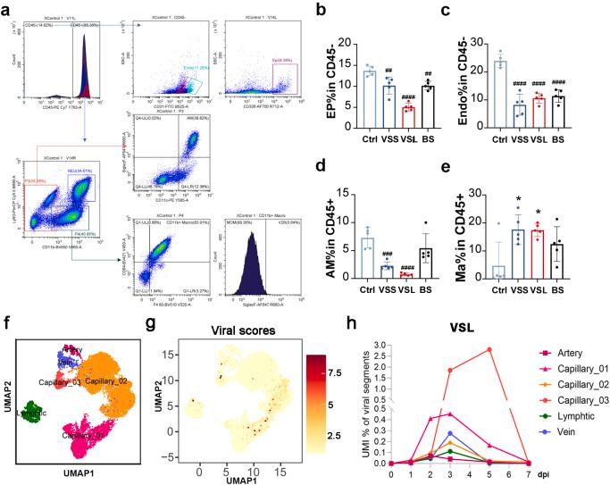 https://cdn.ncbi.nlm.nih.gov/pmc/blobs/344f/12142562/5276b4c2fcf5/figs4.jpg