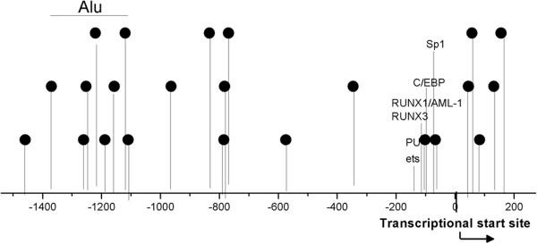 https://cdn.ncbi.nlm.nih.gov/pmc/blobs/344f/4237764/2d259cfce86b/13148_2014_89_Fig2_HTML.jpg
