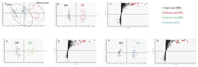 https://cdn.ncbi.nlm.nih.gov/pmc/blobs/3450/8003075/2888dbae3702/molecules-26-01696-g003.jpg