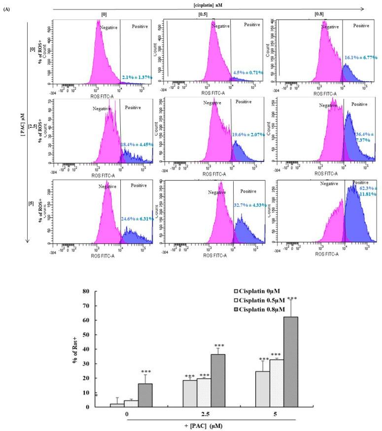 https://cdn.ncbi.nlm.nih.gov/pmc/blobs/3451/10297365/028cdc0b53b3/cimb-45-00319-g006a.jpg