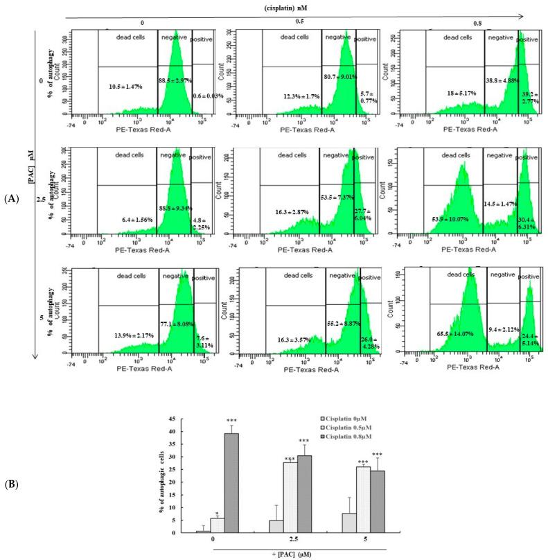 https://cdn.ncbi.nlm.nih.gov/pmc/blobs/3451/10297365/049402e9e664/cimb-45-00319-g005.jpg