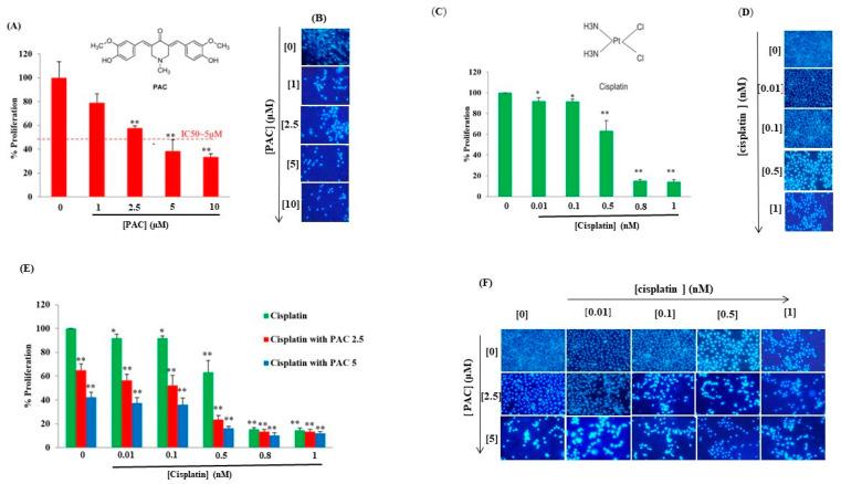 https://cdn.ncbi.nlm.nih.gov/pmc/blobs/3451/10297365/e2652a338775/cimb-45-00319-g001.jpg