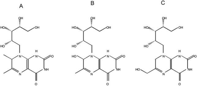 https://cdn.ncbi.nlm.nih.gov/pmc/blobs/3453/3928695/644698bdca4d/IJMR-138-620-g003.jpg