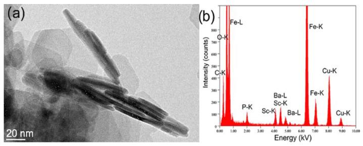 https://cdn.ncbi.nlm.nih.gov/pmc/blobs/3456/9229317/e24283a28898/nanomaterials-12-02123-g005.jpg