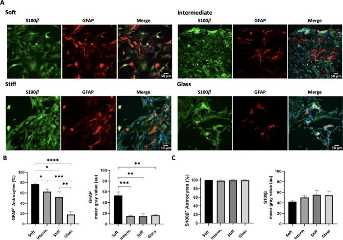 https://cdn.ncbi.nlm.nih.gov/pmc/blobs/3458/11234334/8acbd93fcbec/ab4c00229_0003.jpg