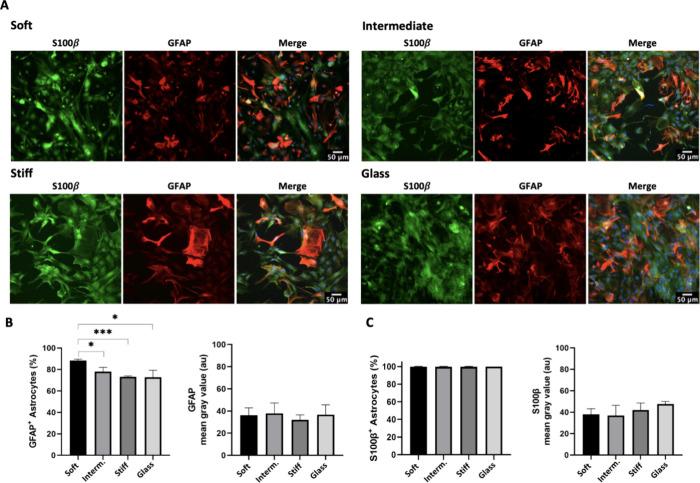 https://cdn.ncbi.nlm.nih.gov/pmc/blobs/3458/11234334/d49f34c3dccd/ab4c00229_0002.jpg