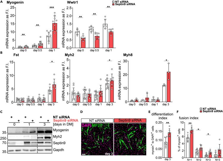 https://cdn.ncbi.nlm.nih.gov/pmc/blobs/3458/11380178/37516987526f/gr3.jpg