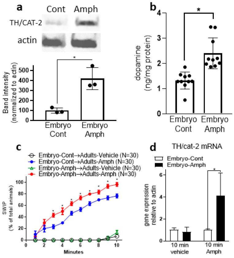 https://cdn.ncbi.nlm.nih.gov/pmc/blobs/345b/11050232/a4f3b0b9ec7c/ijms-25-04219-g002.jpg