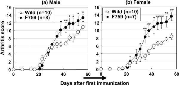 https://cdn.ncbi.nlm.nih.gov/pmc/blobs/345f/2652421/20cbc82242c9/1471-2474-10-23-1.jpg