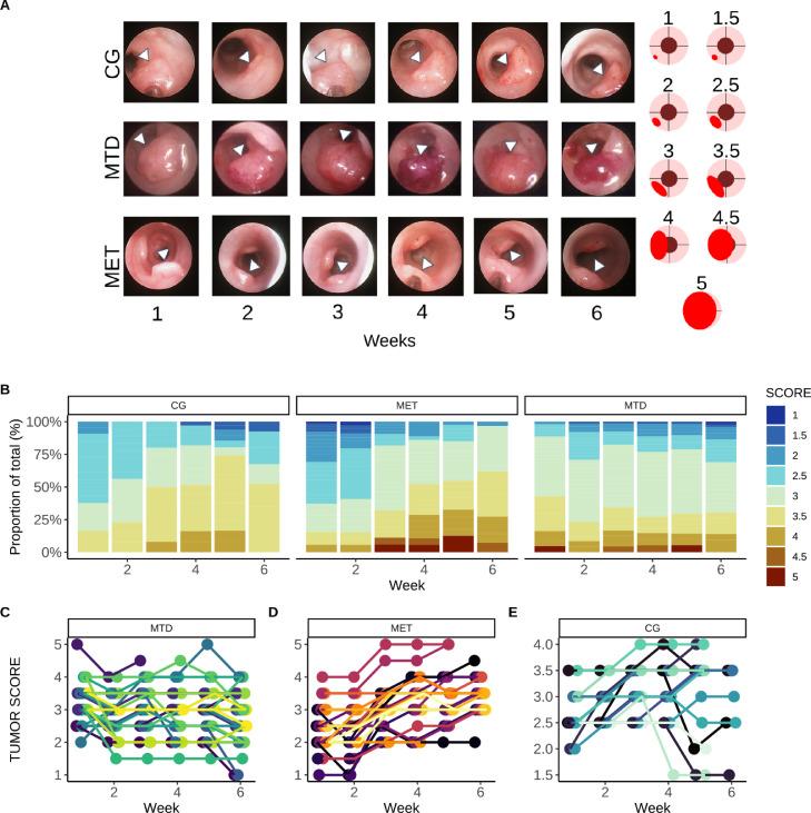 https://cdn.ncbi.nlm.nih.gov/pmc/blobs/3460/9326335/4ac22e093a93/gr2.jpg