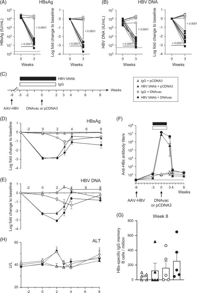 https://cdn.ncbi.nlm.nih.gov/pmc/blobs/3461/12266798/004ca5aee66e/hep-82-470-g003.jpg