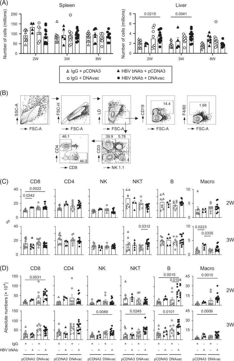 https://cdn.ncbi.nlm.nih.gov/pmc/blobs/3461/12266798/3eb937745733/hep-82-470-g005.jpg