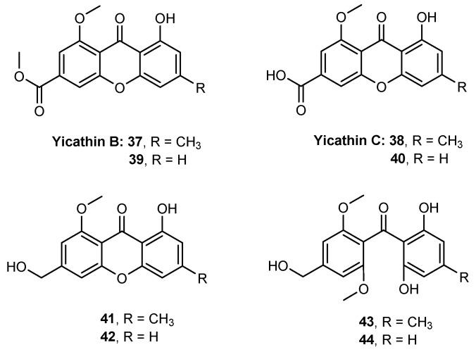 https://cdn.ncbi.nlm.nih.gov/pmc/blobs/3461/7829950/4fcc4d75ab80/molecules-26-00431-g010.jpg