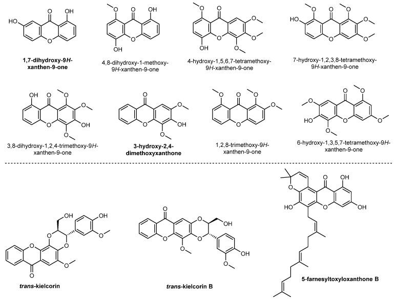 https://cdn.ncbi.nlm.nih.gov/pmc/blobs/3461/7829950/9fb6706affc9/molecules-26-00431-g003.jpg