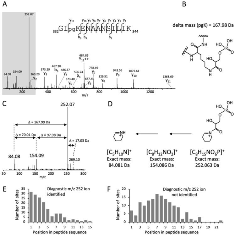 https://cdn.ncbi.nlm.nih.gov/pmc/blobs/3463/11356508/8651299ebafc/microorganisms-12-01556-g001.jpg