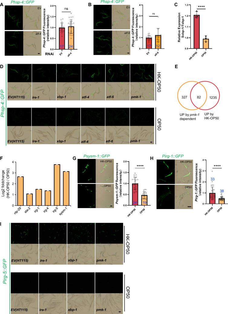 https://cdn.ncbi.nlm.nih.gov/pmc/blobs/3463/11377039/195e448ec8bd/elife-94181-fig2-figsupp1.jpg
