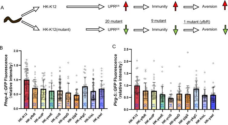 https://cdn.ncbi.nlm.nih.gov/pmc/blobs/3463/11377039/3615cbd997e8/elife-94181-fig3-figsupp1.jpg