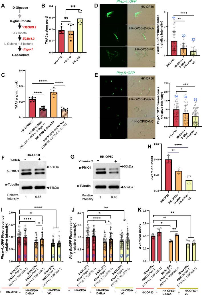 https://cdn.ncbi.nlm.nih.gov/pmc/blobs/3463/11377039/945ece44c799/elife-94181-fig4.jpg