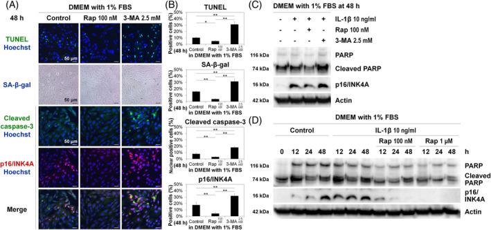 https://cdn.ncbi.nlm.nih.gov/pmc/blobs/3465/10782056/6aca2bcd40c8/JSP2-7-e1303-g003.jpg