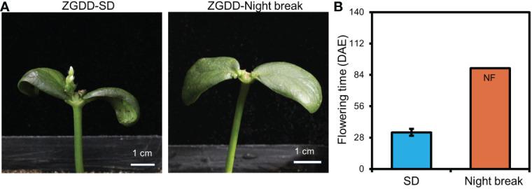 https://cdn.ncbi.nlm.nih.gov/pmc/blobs/3465/9853180/bb659c5ccff3/fpls-13-1101715-g003.jpg
