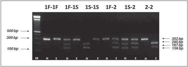 https://cdn.ncbi.nlm.nih.gov/pmc/blobs/3466/6294086/da46bd14d203/jomb-36-331-g001.jpg