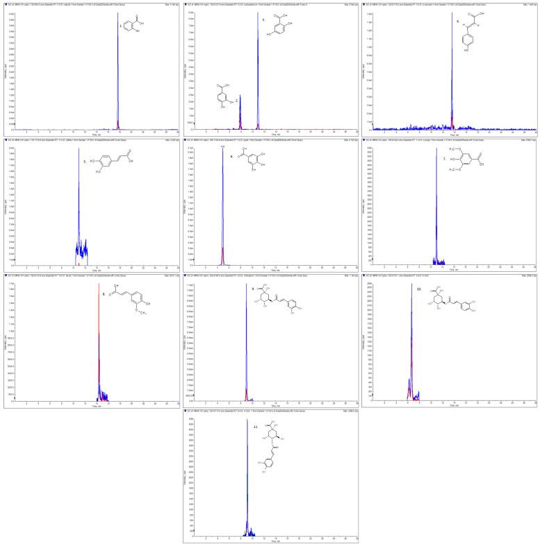 https://cdn.ncbi.nlm.nih.gov/pmc/blobs/346a/12251272/1765daf6a39e/molecules-30-02739-g001.jpg